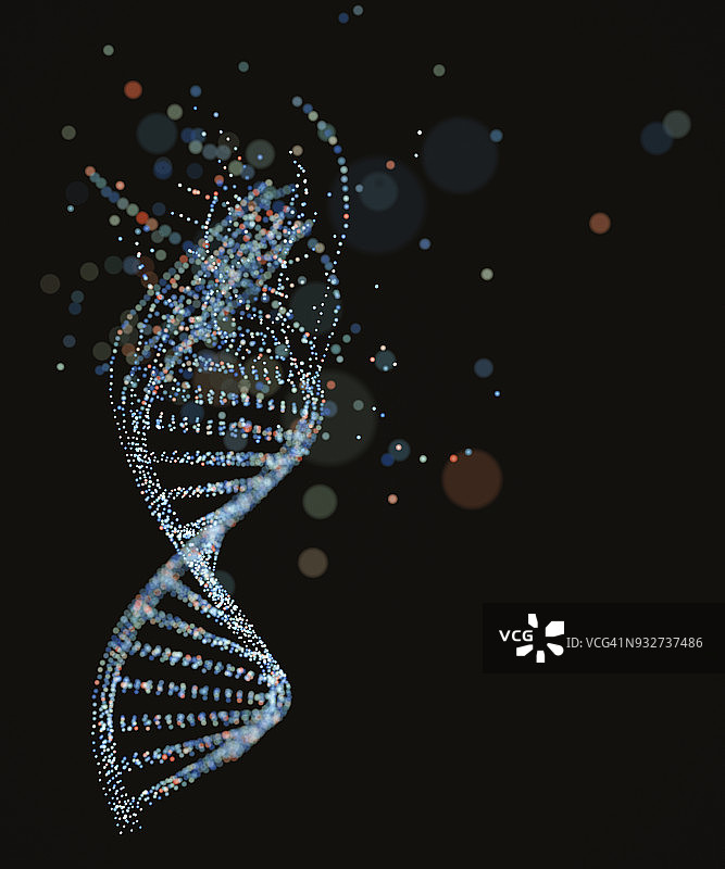 DNA结构插图图片素材