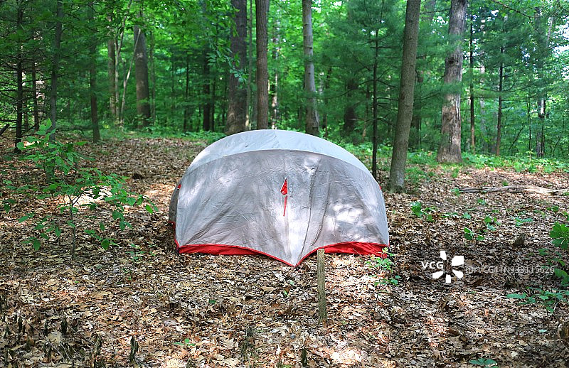 森林中的帐篷露营地图片素材