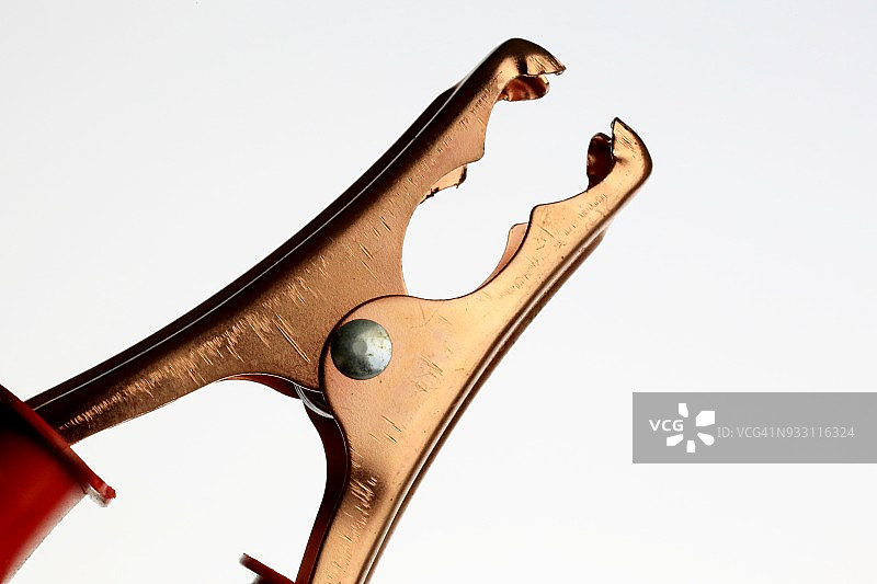 白色背景上的铜鳄鱼夹特写图片素材