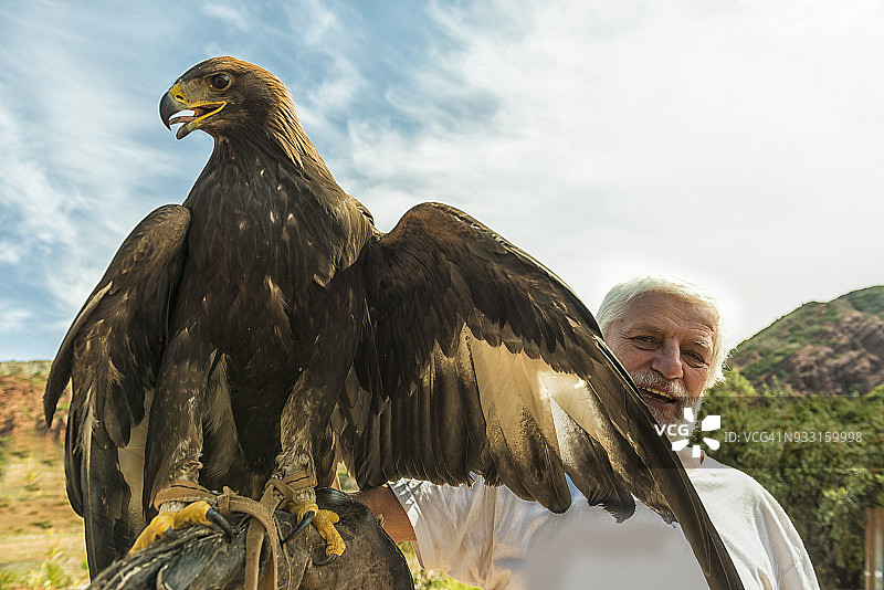 手 holding 大鹰的老年男人图片素材