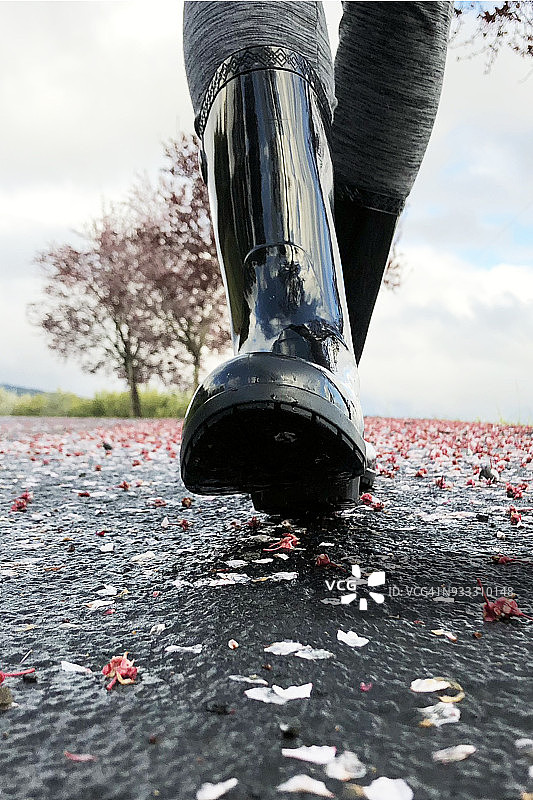 散落在地板上的樱花花瓣图片素材