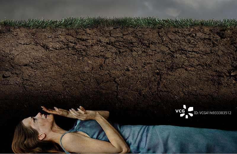 活体解剖图片素材