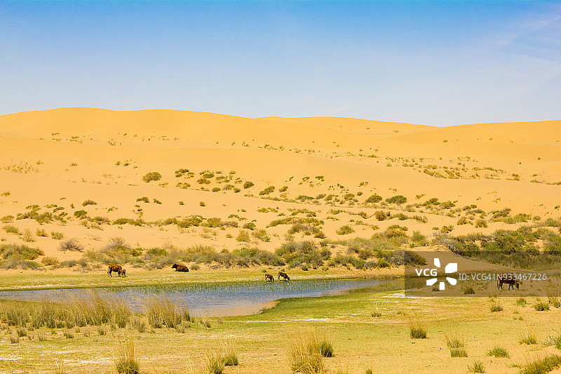 中国内蒙古的沙漠湖泊图片素材