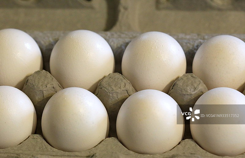 鸡蛋全画幅图片素材