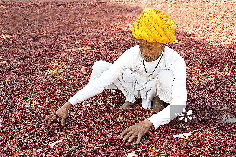 农民晾晒红辣椒图片素材