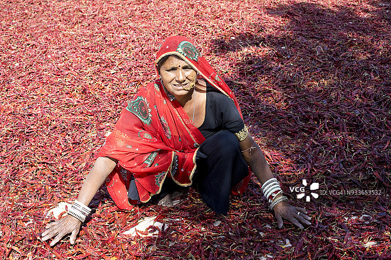 印度女人晾晒红辣椒图片素材