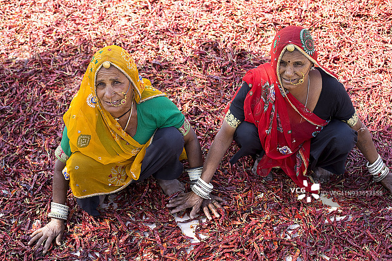 中年妇女正在晾晒红辣椒图片素材
