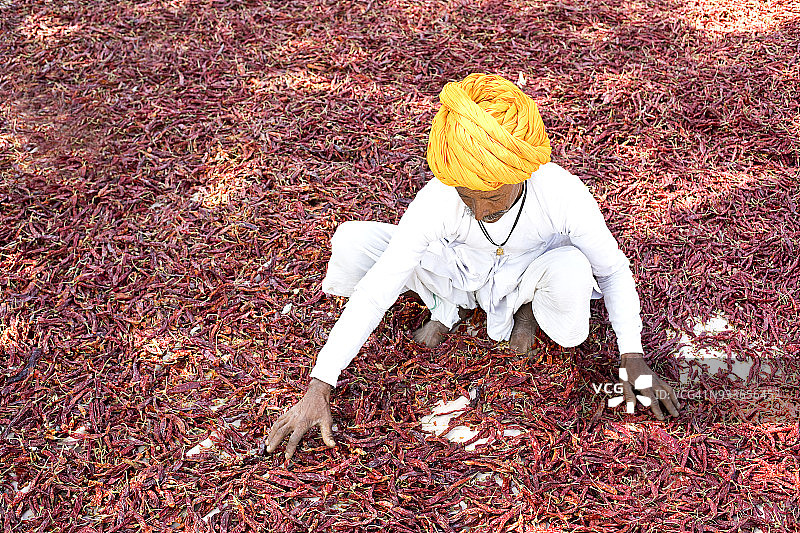 农民晾晒红辣椒图片素材