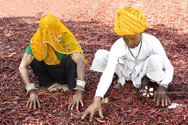乡村男人和女人晾晒红色辣椒图片素材