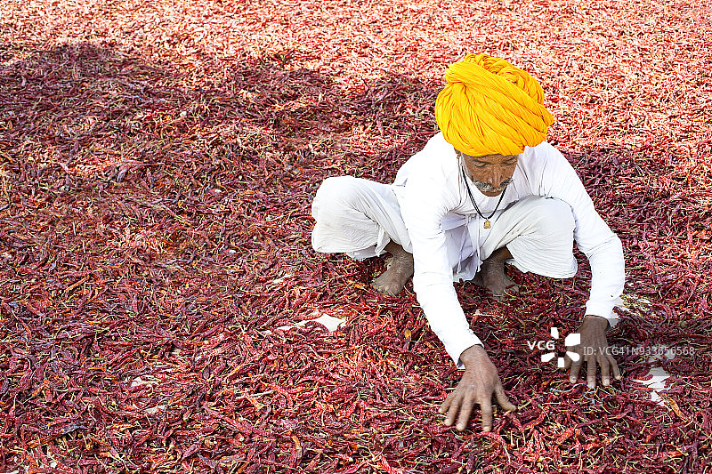 农民晾晒红辣椒图片素材