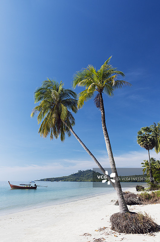 棕榈树沙滩图片素材