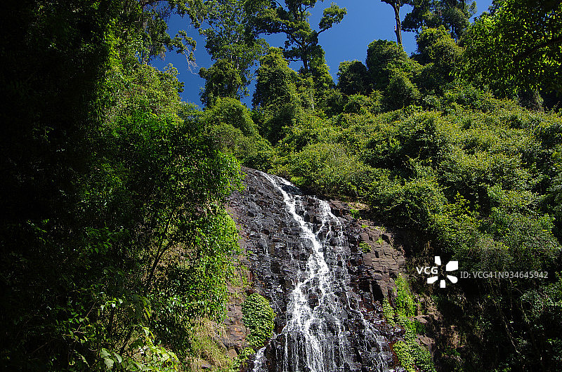 澳大利亚新南威尔士州多里戈国家公园的特里斯坦尼亚瀑布图片素材