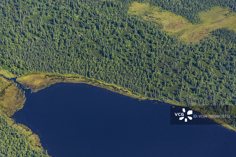 美国阿拉斯加塔尔基特纳河流和森林景观的航拍景色图片素材