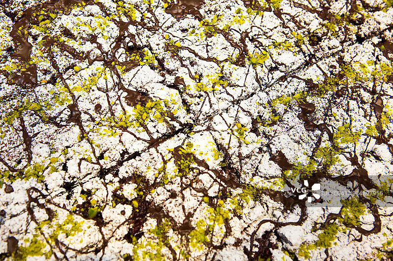 餐饮：装饰精美的蛋糕图片素材