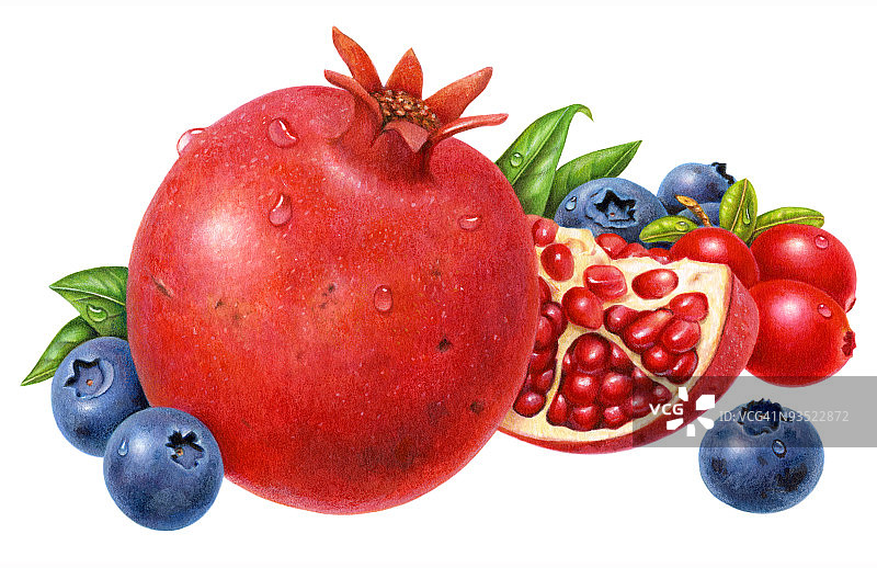 石榴、蔓越莓和蓝莓图片素材