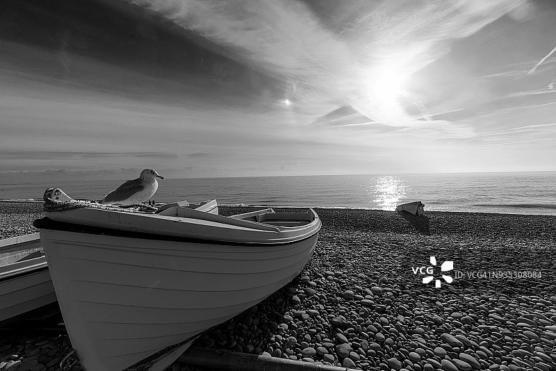 英国海景与船和海鸥图片素材