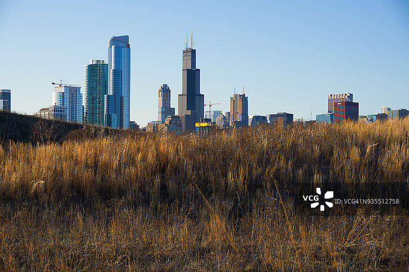 草原草与芝加哥天际线图片素材