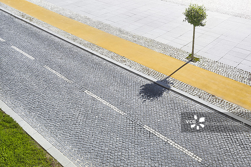 从上方拍摄的带有独立树木的空鹅卵石路图片素材