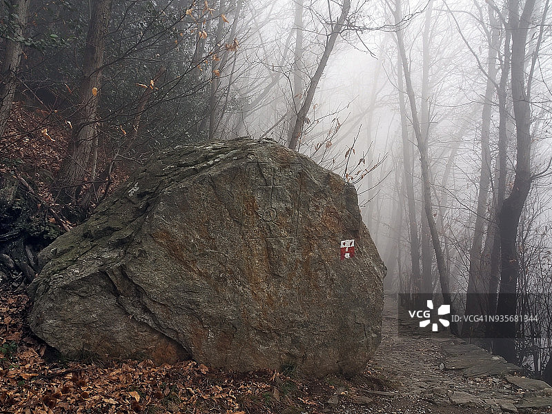 我一直等待(Sempre Aspetto)图片素材