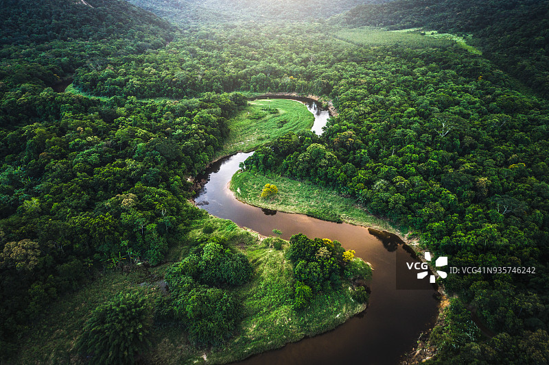 巴西大西洋森林保护区图片素材