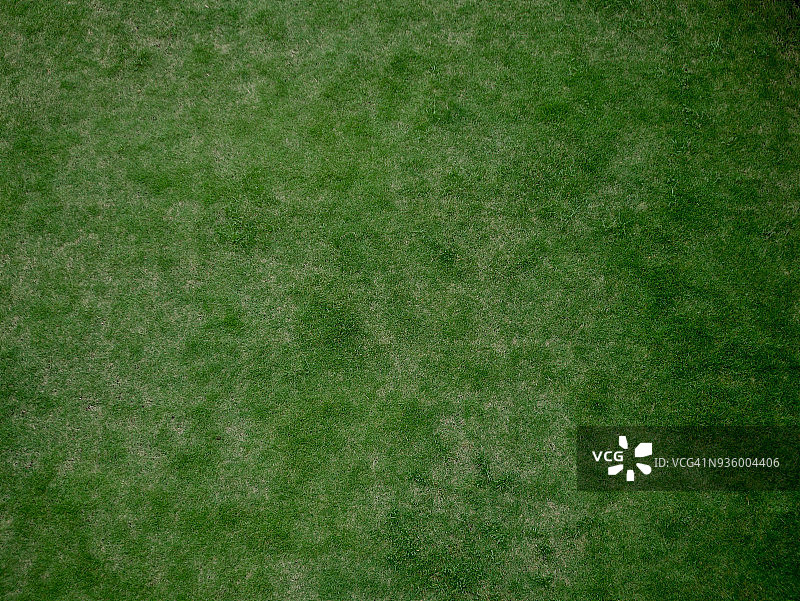 绿色_1260146.jpg图片素材