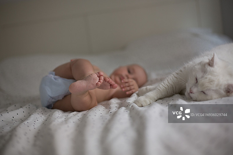 宝宝的脚和猫在床上图片素材