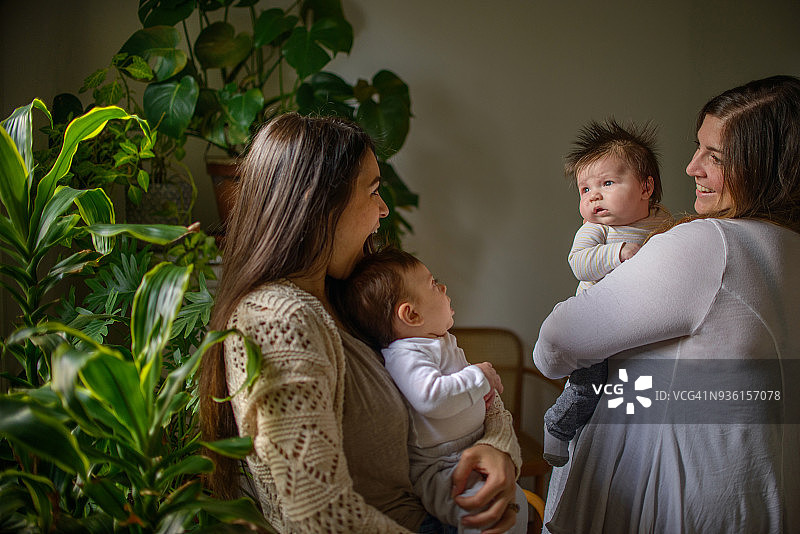 母亲和她的宝宝们图片素材