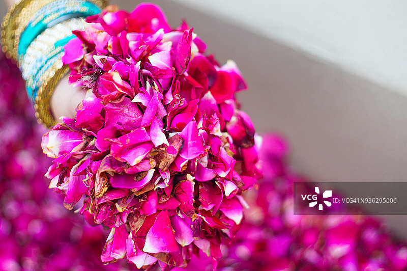 印度女性手持红色玫瑰花瓣图片素材