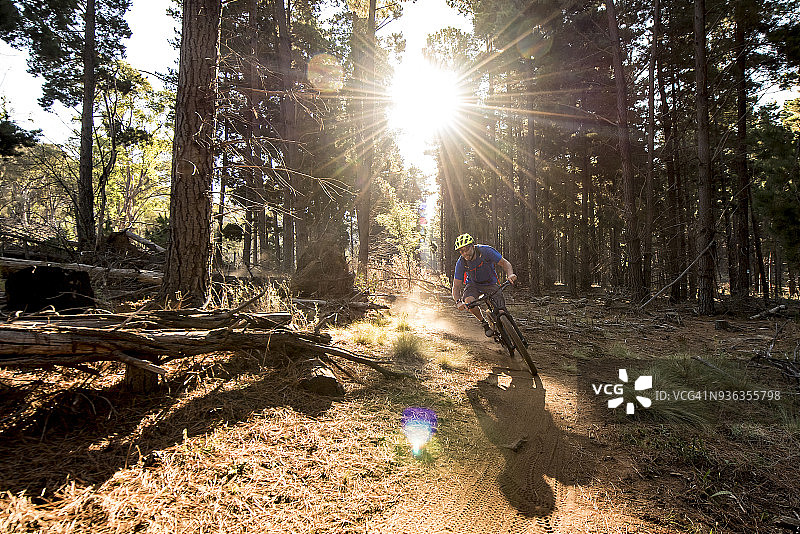 男人在马朱拉松树山地自行车公园骑行图片素材