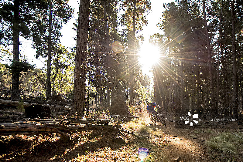 男人在马朱拉松树山地自行车公园骑行图片素材
