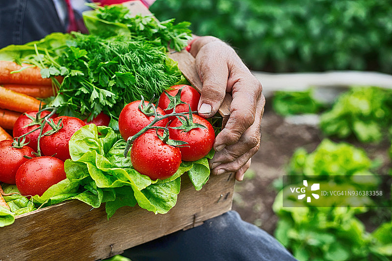 蔬菜箱图片素材