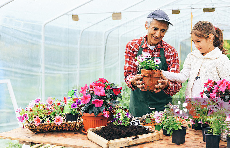 小女孩和爷爷一起在花盆里种花图片素材