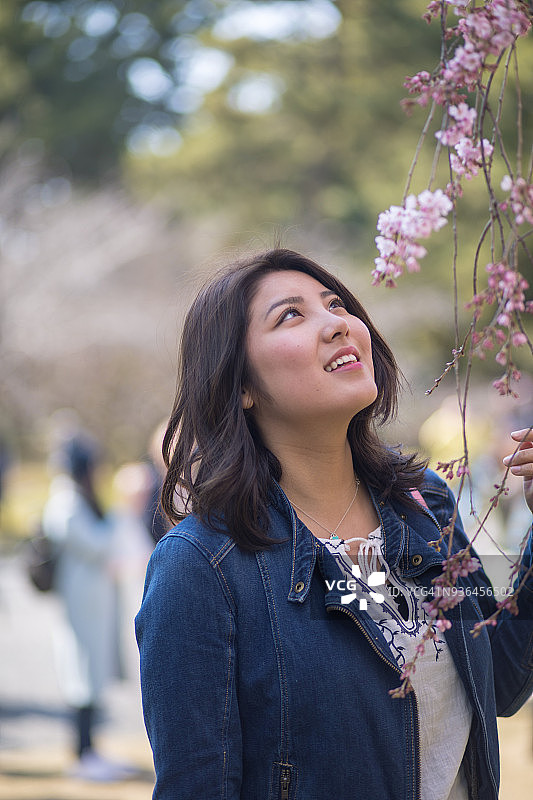 十几岁的女孩看着樱花图片素材