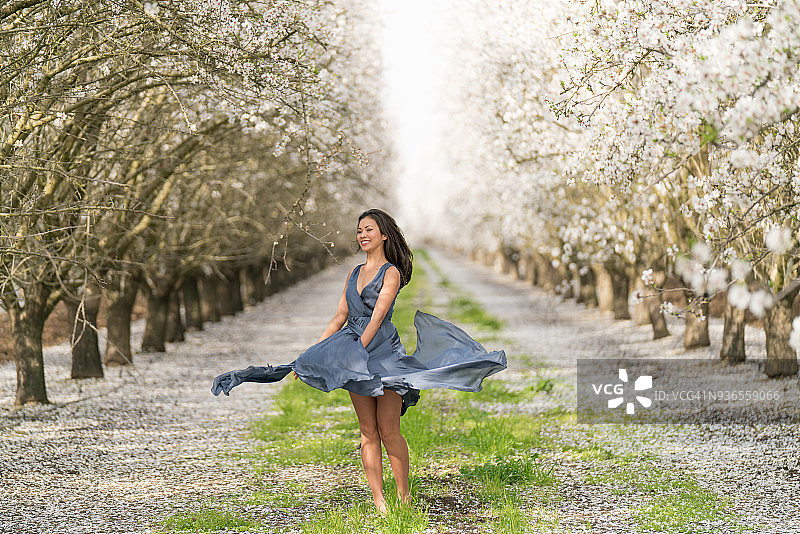 漫步在杏树林中图片素材