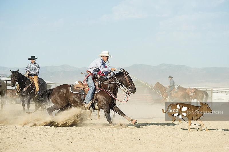 牛仔与马完美搭档套小牛图片素材
