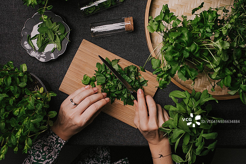 女人切割各种新鲜的叶草药，如鼠尾草、罗勒、牛至、百里香图片素材