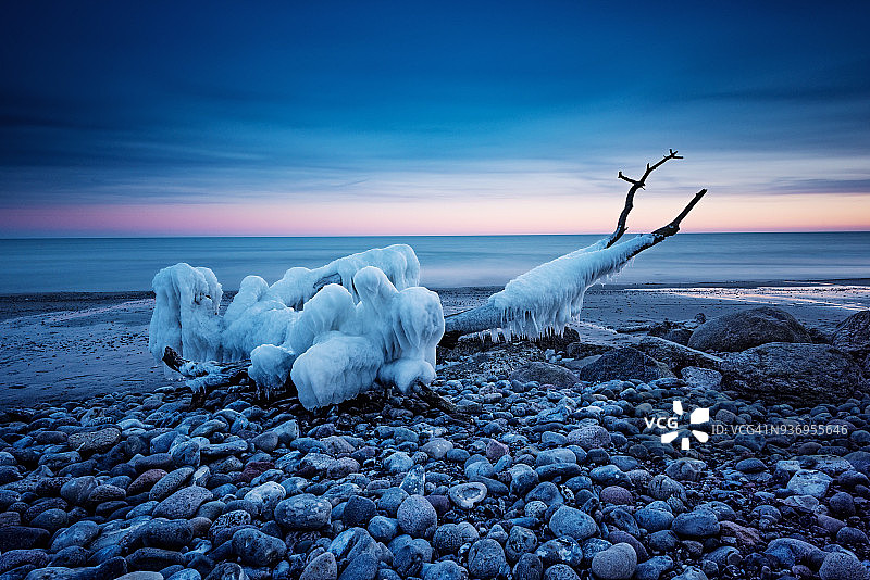 丹麦默恩岛海滩上冰雪覆盖的树木图片素材