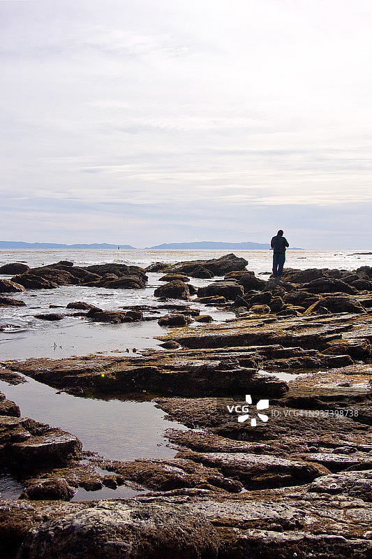 加州圣佩德罗潮汐池的孤独身影图片素材