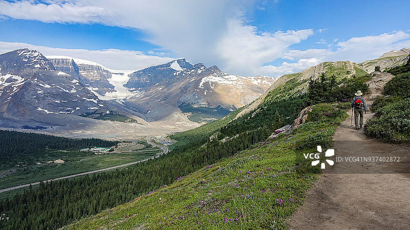 贾斯珀国家公园 Athabasca 冰川徒步小径景色图片素材