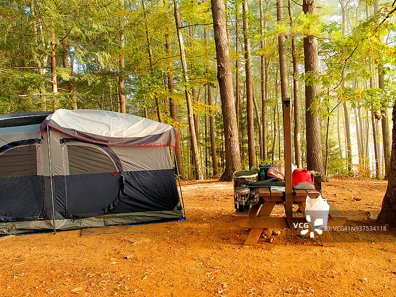 在林区露营图片素材