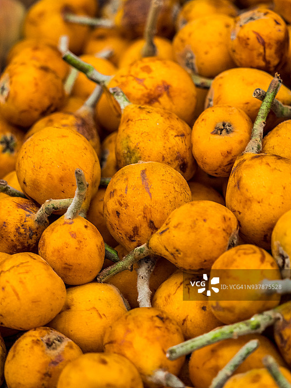 维也纳纳旭市场图片素材