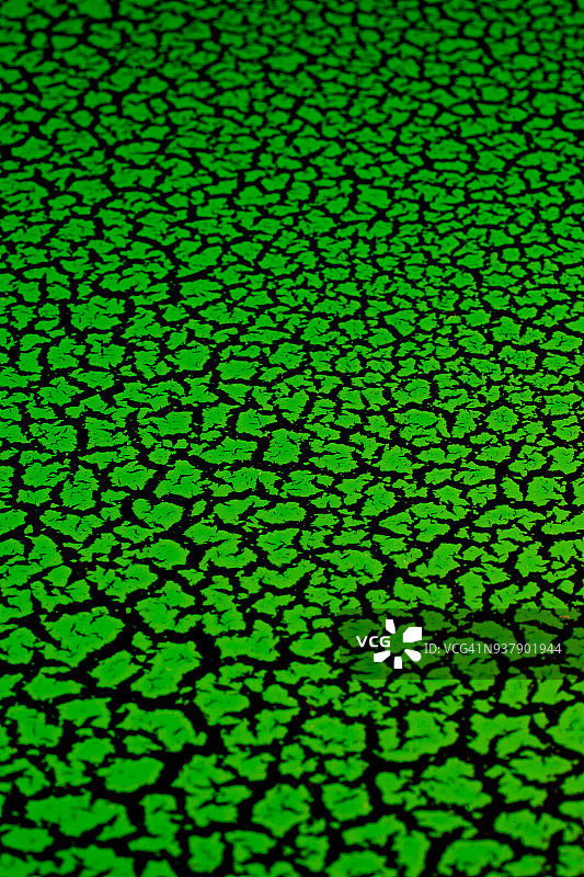绿色龟裂地面图片素材