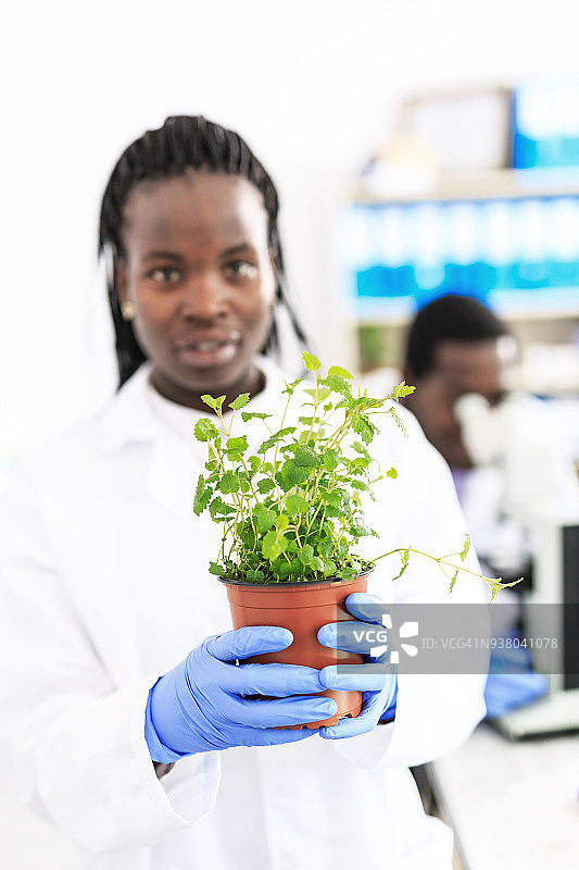 女实验室工作人员图片素材