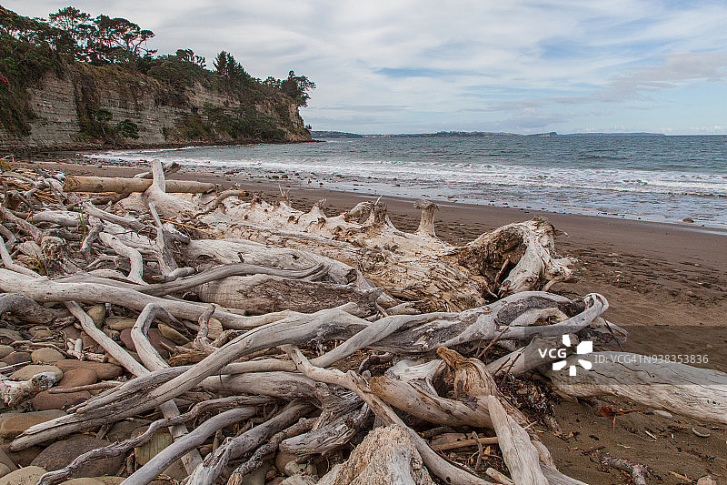 新西兰奥克兰海边风光图片素材