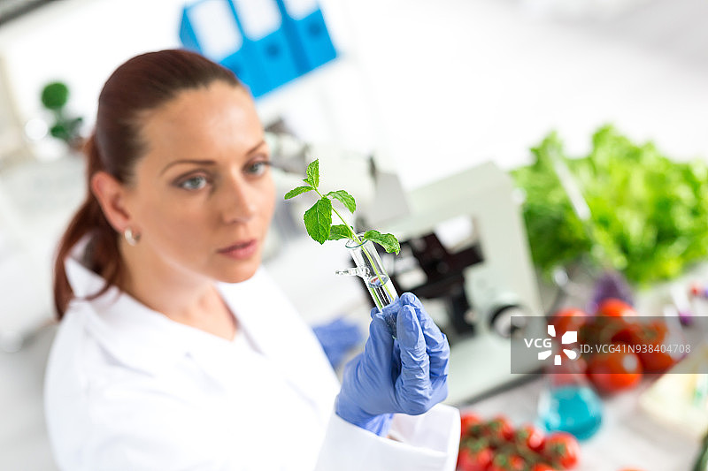 女实验室技术员检验蔬菜质量图片素材