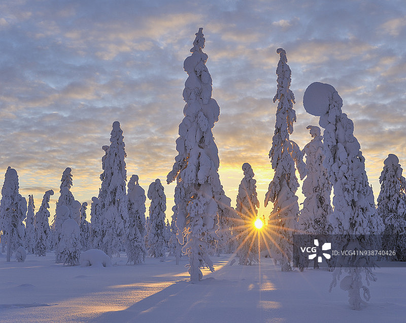 芬兰库萨莫瓦尔塔瓦拉冬季雪景图片素材