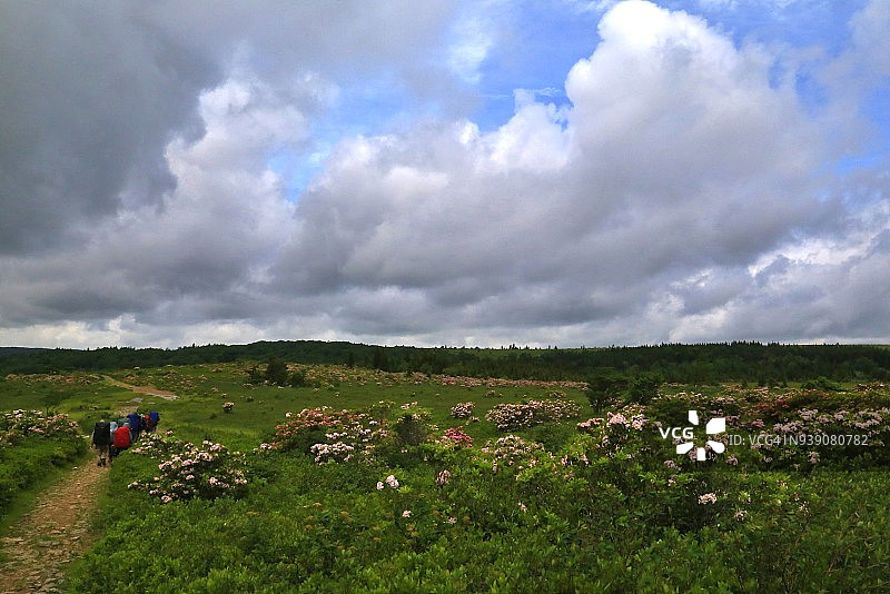 红色小溪峡谷景观图片素材