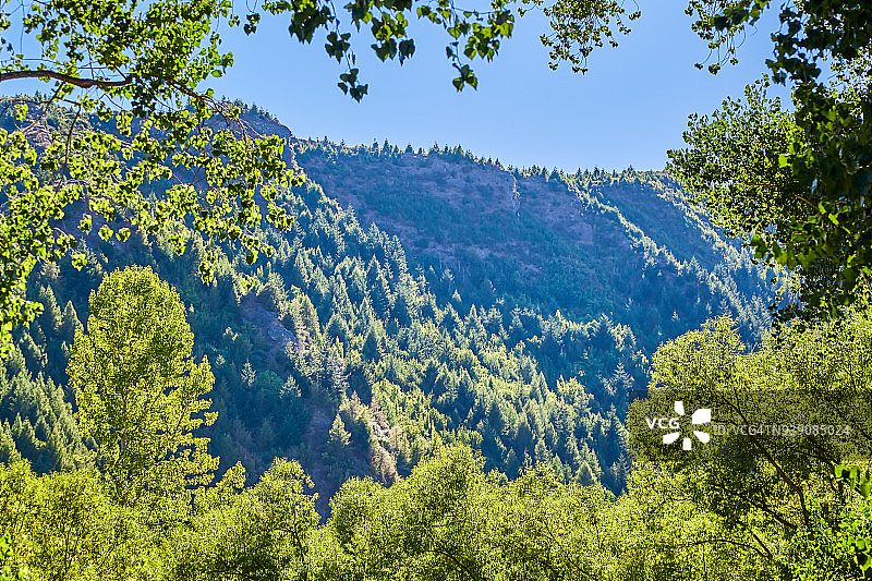 新西兰奥塔哥箭镇夏季树木环绕的山脉图片素材