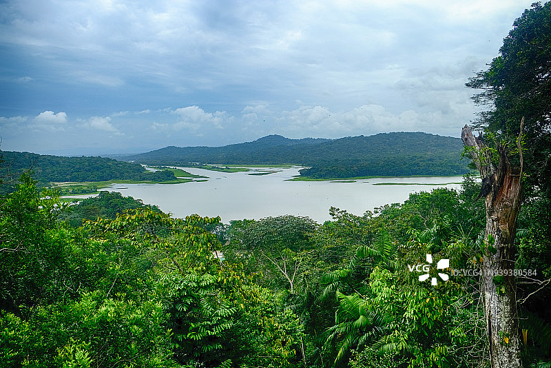 巴拿马甘博亚雨林图片素材