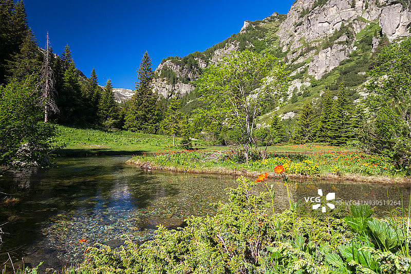 保加利亚里拉山脉乌尔迪纳河图片素材